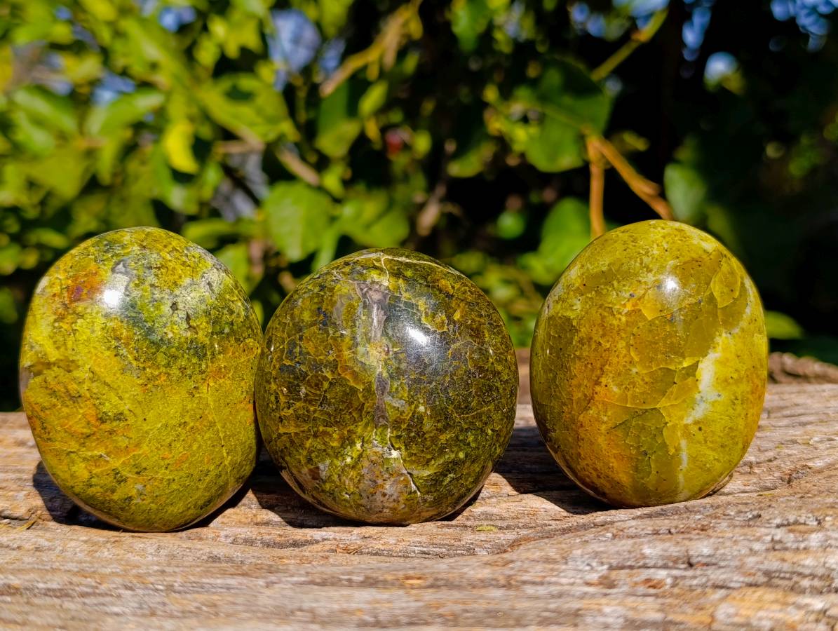 Polished Green Opal Palm Stones x 12 From Betroka, Madagascar - Toprock Gemstones and Minerals 