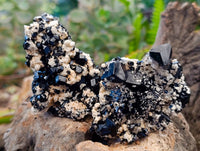 Natural Schorl Black Tourmaline Specimens x 6 From Erongo, Namibia
