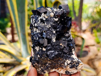 Natural Schorl Black Tourmaline Specimens x 6 From Erongo, Namibia