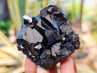 Natural Schorl Black Tourmaline Specimens x 6 From Erongo, Namibia