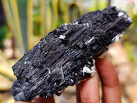 Natural Schorl Black Tourmaline Specimens x 6 From Erongo, Namibia