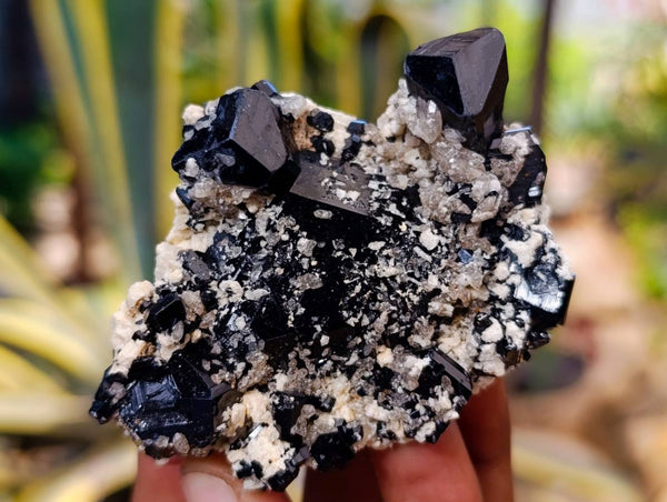 Natural Schorl Black Tourmaline Specimens x 6 From Erongo, Namibia
