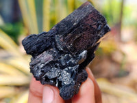 Natural Schorl Black Tourmaline Specimens x 6 From Erongo, Namibia