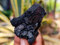 Natural Schorl Black Tourmaline Specimens x 6 From Erongo, Namibia