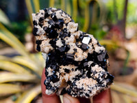 Natural Schorl Black Tourmaline Specimens x 6 From Erongo, Namibia