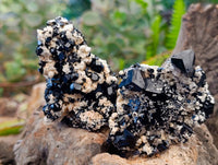 Natural Schorl Black Tourmaline Specimens x 6 From Erongo, Namibia