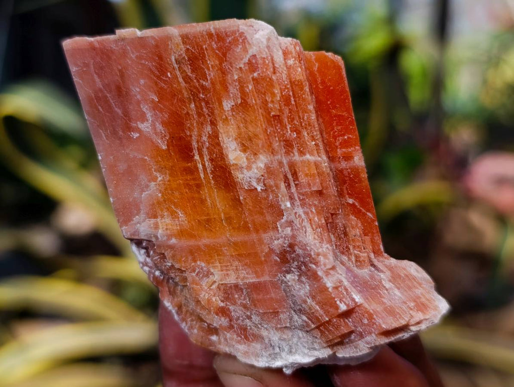 Natural Sunset Orange Calcite Specimens x 13 From Spitzkop, Namibia - Toprock Gemstones and Minerals 