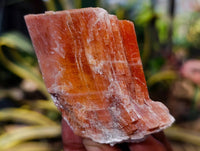 Natural Sunset Orange Calcite Specimens x 13 From Spitzkop, Namibia