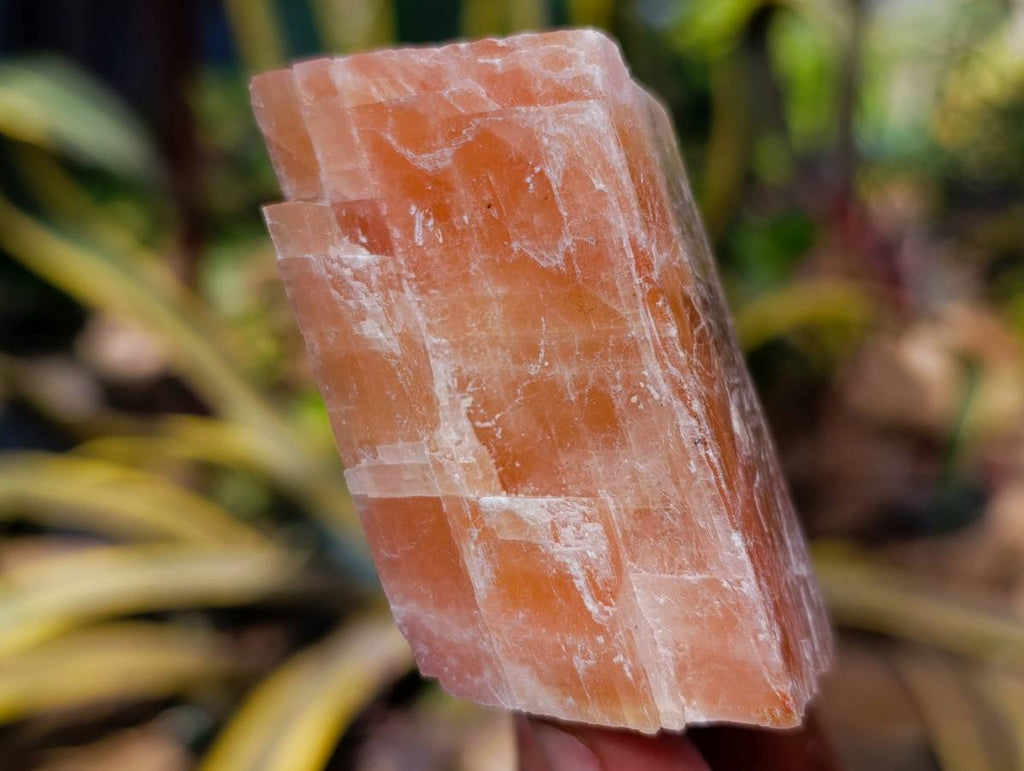 Natural Sunset Orange Calcite Specimens x 13 From Spitzkop, Namibia - Toprock Gemstones and Minerals 