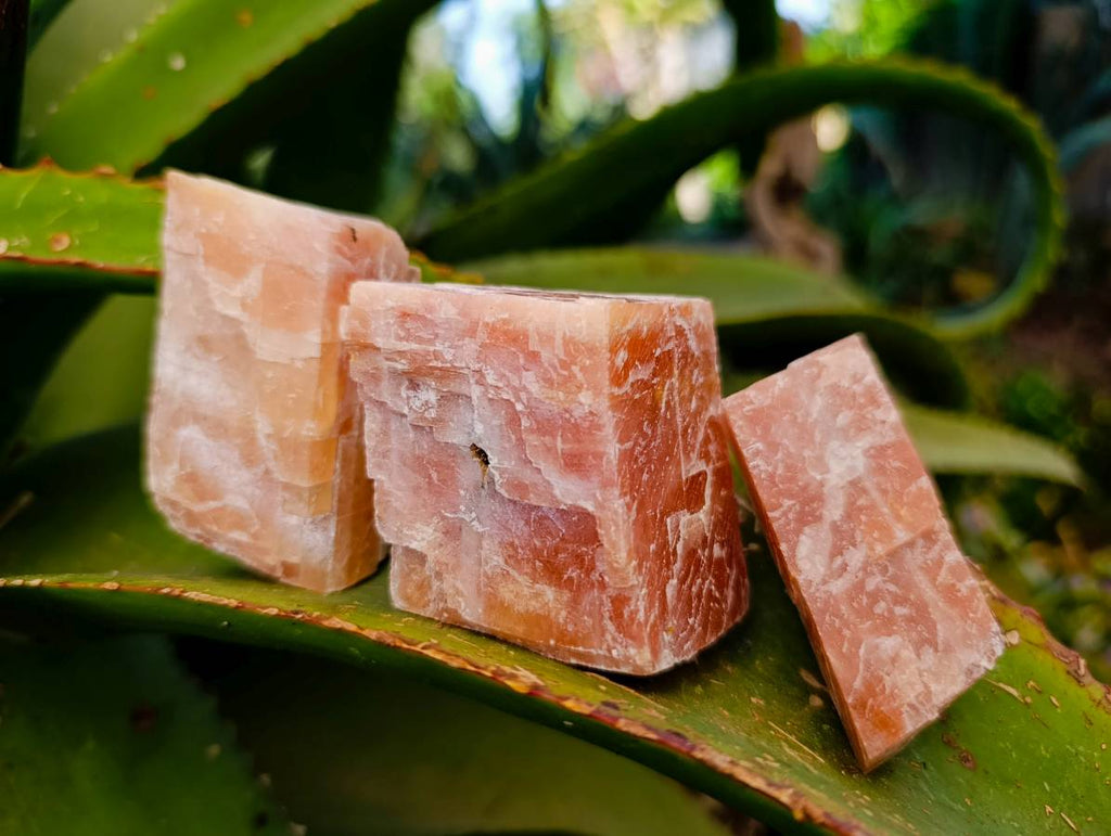 Natural Sunset Orange Calcite Specimens x 13 From Spitzkop, Namibia - Toprock Gemstones and Minerals 