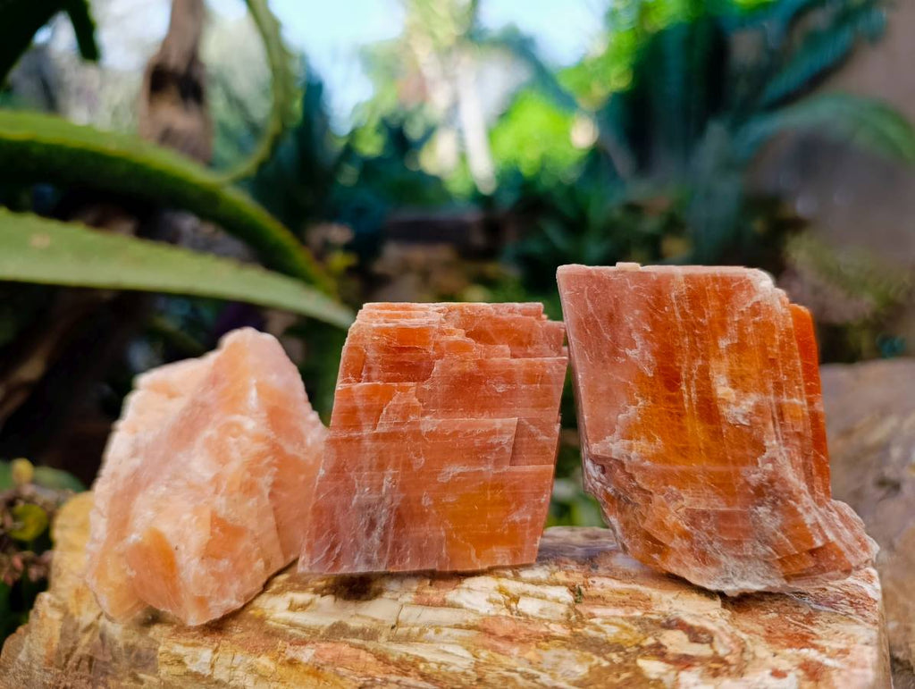 Natural Sunset Orange Calcite Specimens x 13 From Spitzkop, Namibia - Toprock Gemstones and Minerals 