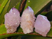 Natural Amethyst Spirit Quartz Specimens x 35 From Boekenhouthoek, South Africa