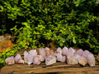 Natural Amethyst Spirit Quartz Specimens x 35 From Boekenhouthoek, South Africa - Toprock Gemstones and Minerals 