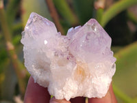 Natural Amethyst Spirit Quartz Specimens x 35 From Boekenhouthoek, South Africa