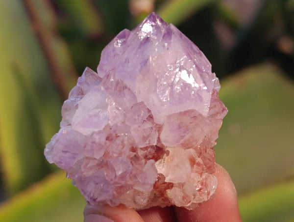 Natural Amethyst Spirit Quartz Specimens x 35 From Boekenhouthoek, South Africa