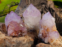 Natural Amethyst Spirit Quartz Specimens x 35 From Boekenhouthoek, South Africa
