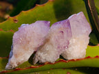 Natural Amethyst Spirit Quartz Specimens x 35 From Boekenhouthoek, South Africa - Toprock Gemstones and Minerals 