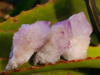 Natural Amethyst Spirit Quartz Specimens x 35 From Boekenhouthoek, South Africa