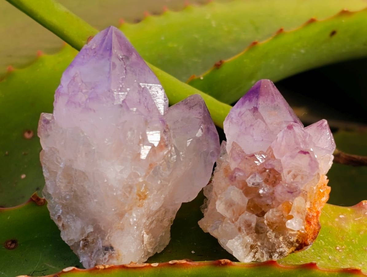 Natural Amethyst Spirit Quartz Specimens x 35 From Boekenhouthoek, South Africa - Toprock Gemstones and Minerals 
