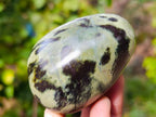 Polished Leopard Stone Standing Free Forms x 5 From Nyanga, Zimbabwe - Toprock Gemstones and Minerals 