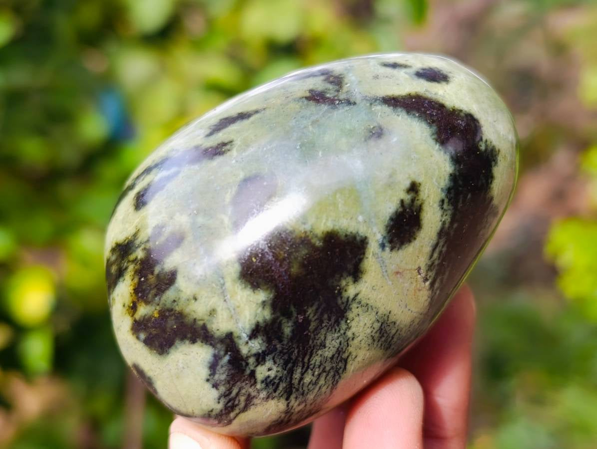Polished Leopard Stone Standing Free Forms x 5 From Nyanga, Zimbabwe - Toprock Gemstones and Minerals 