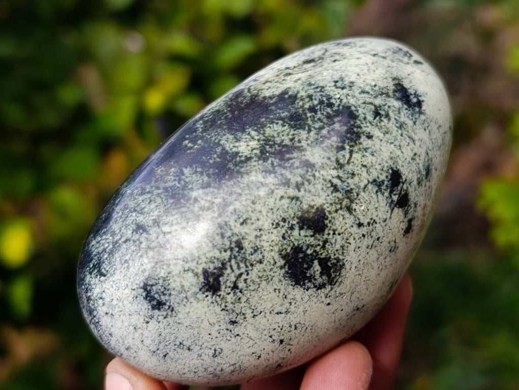 Polished Leopard Stone Standing Free Forms x 5 From Nyanga, Zimbabwe - Toprock Gemstones and Minerals 