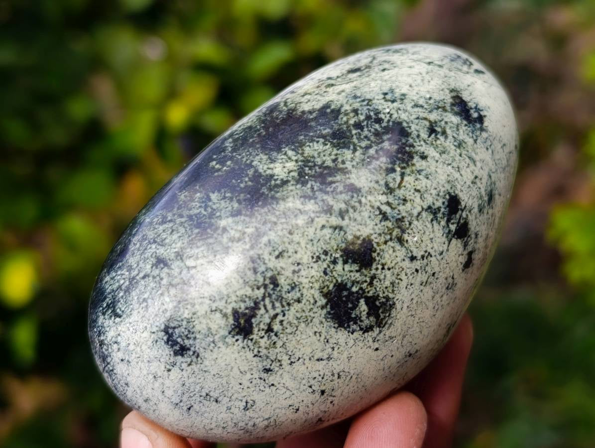 Polished Leopard Stone Standing Free Forms x 5 From Nyanga, Zimbabwe - Toprock Gemstones and Minerals 