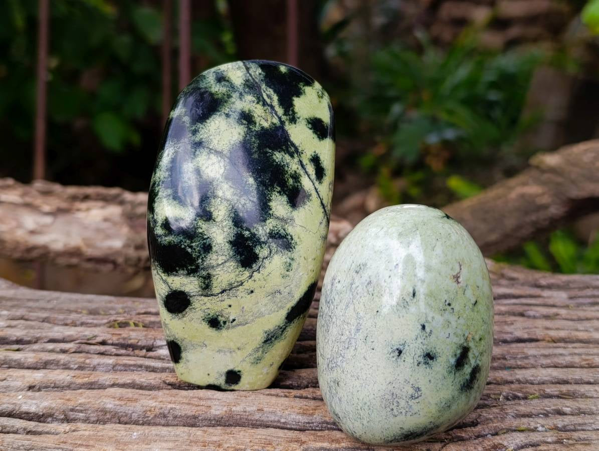 Polished Leopard Stone Standing Free Forms x 5 From Nyanga, Zimbabwe - Toprock Gemstones and Minerals 