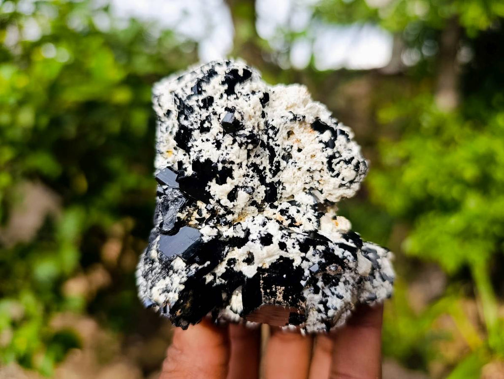 Natural Schorl Black Tourmaline Specimens x 6 From Erongo, Namibia - Toprock Gemstones and Minerals 