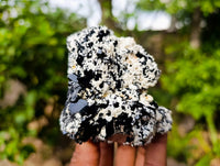 Natural Schorl Black Tourmaline Specimens x 6 From Erongo, Namibia