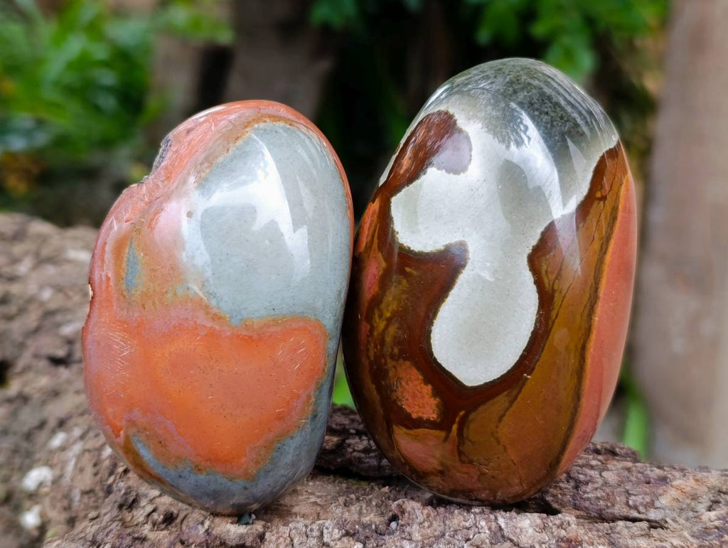 Polished On One Side Polychrome Jasper x 6 From Mahajanga, Madagascar - Toprock Gemstones and Minerals 