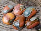 Polished On One Side Polychrome Jasper x 6 From Mahajanga, Madagascar - Toprock Gemstones and Minerals 