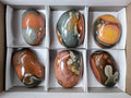 Polished On One Side Polychrome Jasper x 6 From Mahajanga, Madagascar - Toprock Gemstones and Minerals 