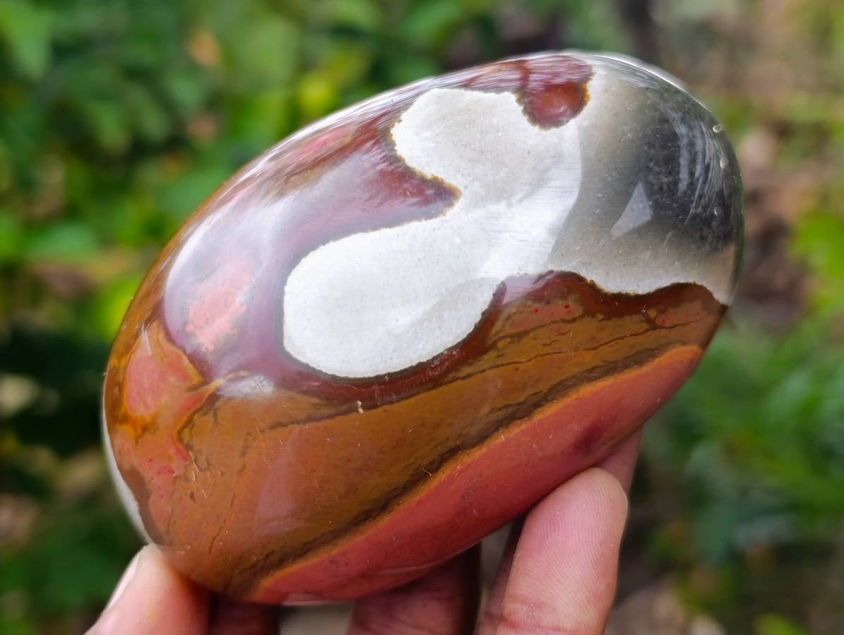 Polished On One Side Polychrome Jasper x 6 From Mahajanga, Madagascar - Toprock Gemstones and Minerals 