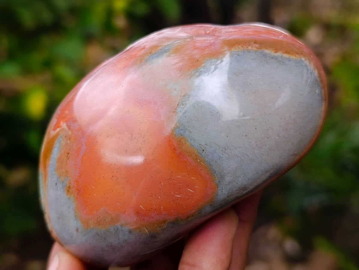 Polished On One Side Polychrome Jasper x 6 From Mahajanga, Madagascar - Toprock Gemstones and Minerals 