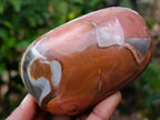 Polished On One Side Polychrome Jasper x 6 From Mahajanga, Madagascar - Toprock Gemstones and Minerals 