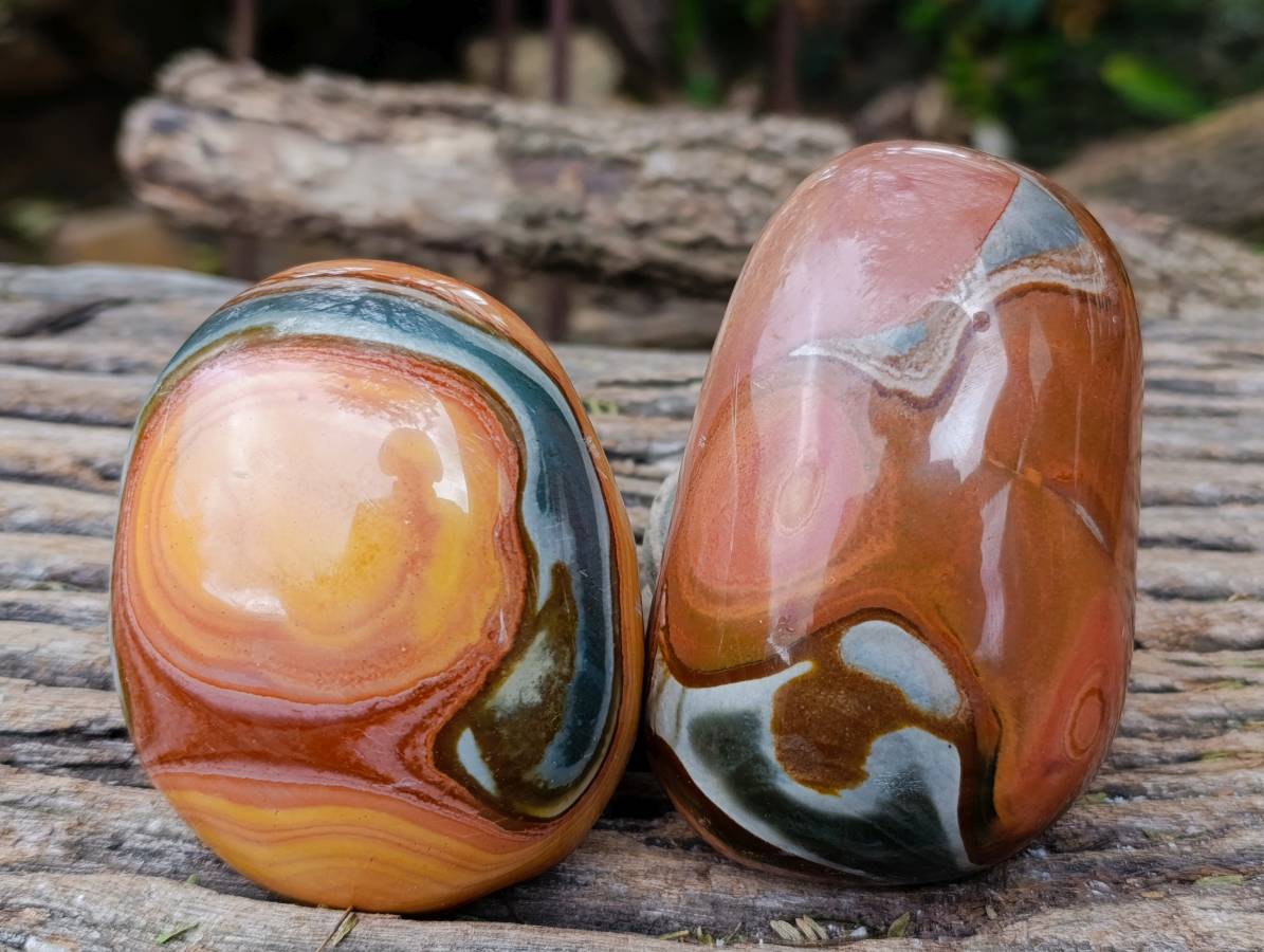 Polished On One Side Polychrome Jasper x 6 From Mahajanga, Madagascar - Toprock Gemstones and Minerals 