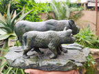 Hand Made Green Verdite Lioness Carving x 1 From Zimbabwe - Toprock Gemstones and Minerals 