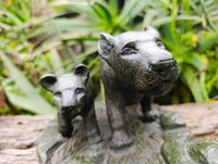 Hand Made Green Verdite Lioness Carving x 1 From Zimbabwe