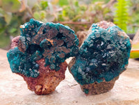 Natural Dioptase on Dolomite Matrix Specimens x 6 From Likasi, Congo