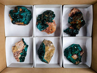 Natural Dioptase on Dolomite Matrix Specimens x 6 From Likasi, Congo
