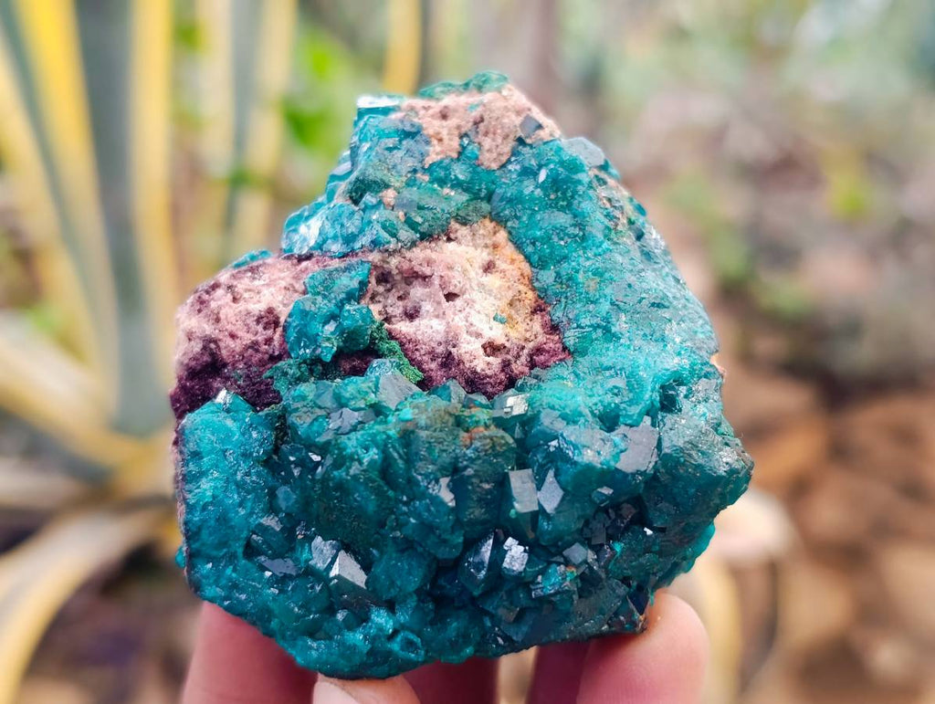 Natural Dioptase on Dolomite Matrix Specimens x 6 From Likasi, Congo - Toprock Gemstones and Minerals 