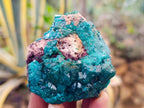 Natural Dioptase on Dolomite Matrix Specimens x 6 From Likasi, Congo - Toprock Gemstones and Minerals 