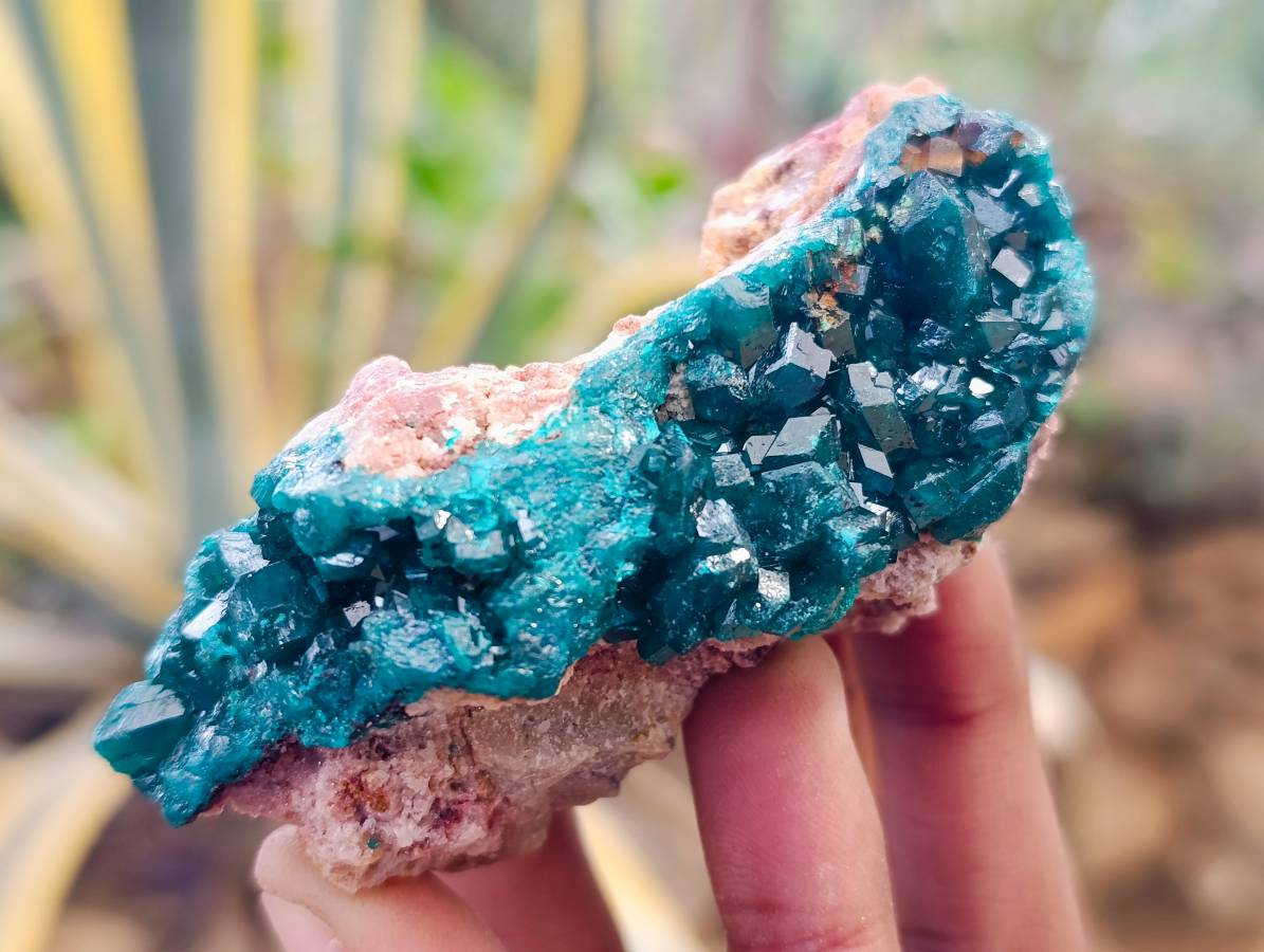 Natural Dioptase on Dolomite Matrix Specimens x 6 From Likasi, Congo - Toprock Gemstones and Minerals 
