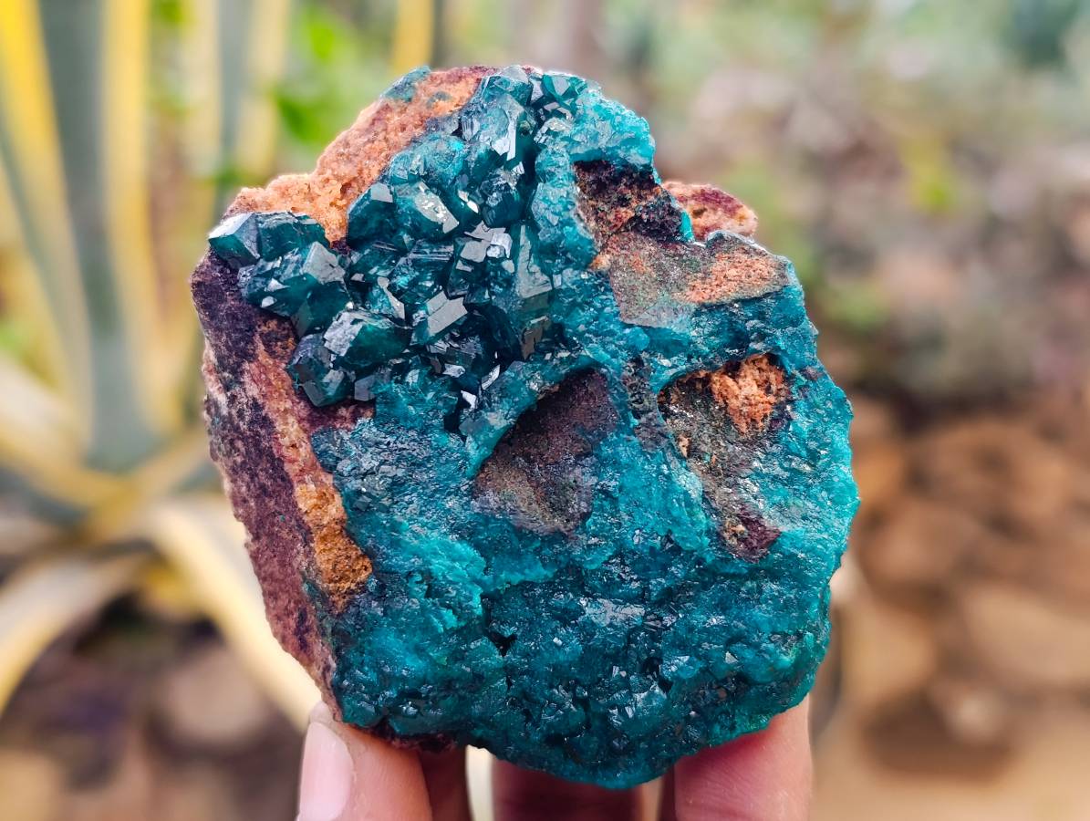 Natural Dioptase on Dolomite Matrix Specimens x 6 From Likasi, Congo - Toprock Gemstones and Minerals 