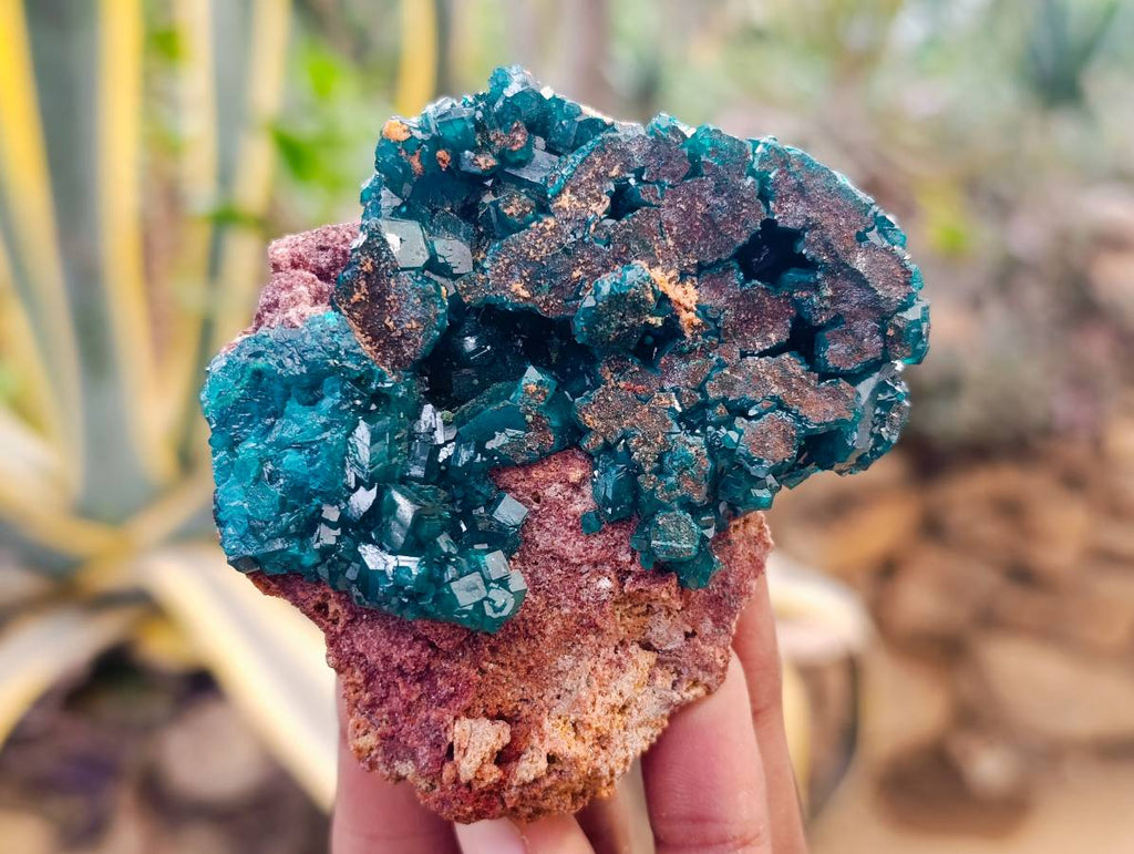 Natural Dioptase on Dolomite Matrix Specimens x 6 From Likasi, Congo - Toprock Gemstones and Minerals 