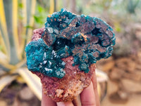 Natural Dioptase on Dolomite Matrix Specimens x 6 From Likasi, Congo
