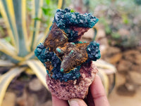 Natural Dioptase on Dolomite Matrix Specimens x 6 From Likasi, Congo