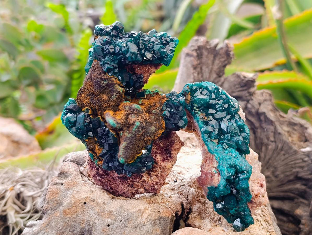 Natural Dioptase on Dolomite Matrix Specimens x 6 From Likasi, Congo - Toprock Gemstones and Minerals 