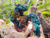 Natural Dioptase on Dolomite Matrix Specimens x 6 From Likasi, Congo